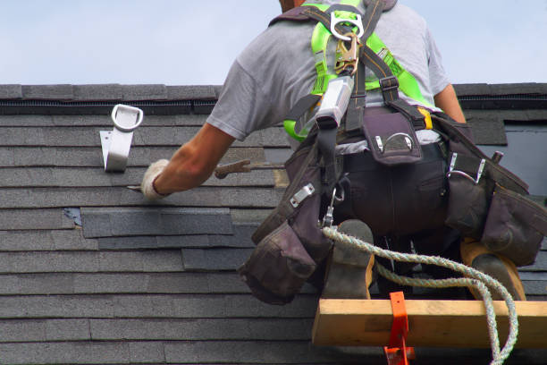 Best Roof Gutter Cleaning  in Halifax, VA