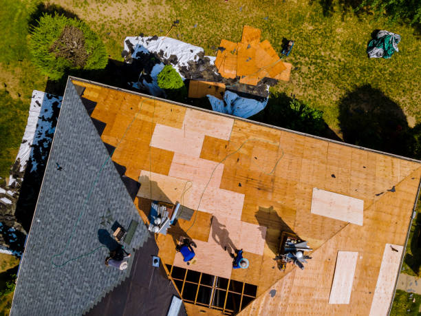 Best Roof Restoration Services  in Halifax, VA