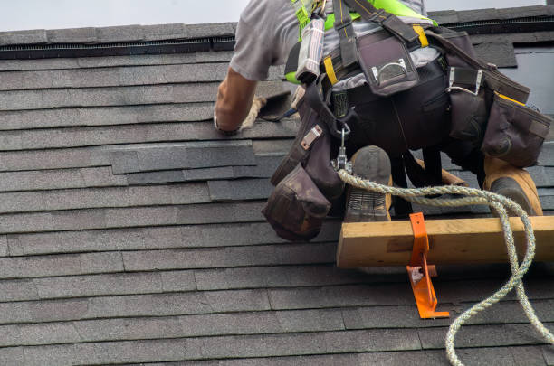 Best Storm Damage Roof Repair  in Halifax, VA