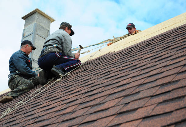 Best Roof Repair Services  in Halifax, VA